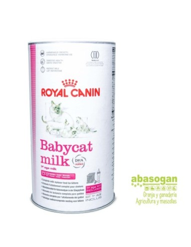 BABY CAT MILK ROYAL CANIN 300GR