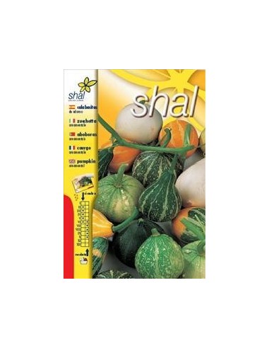 CALABACITAS ADORNO VARIADAS (SOBRE UNIPRECIO)
