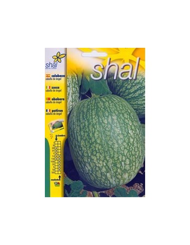 CALABAZA CABELLO DE ÁNGEL (SOBRE UNIPRECIO)