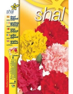 CLAVEL CHAVAUD DOBLE VARIADO (SOBRE UNIPRECIO)