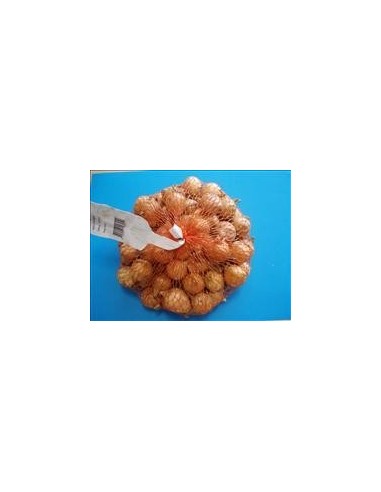 CEBOLLITA STUTTGARTER 21/24 MM EN 500 gr.