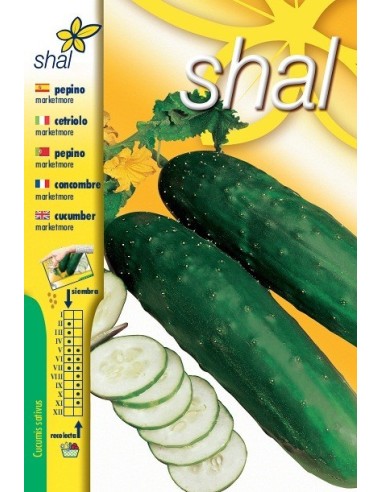 PEPINO MARKETMORE