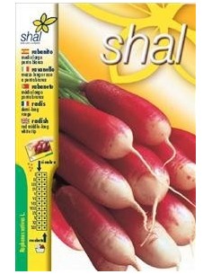 RABANITO MEDIO LARGO ROJO PUNTA BLANCA (SOBRE UNIPRECIO)