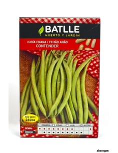 JUDÍA ENANA CONTENDER.