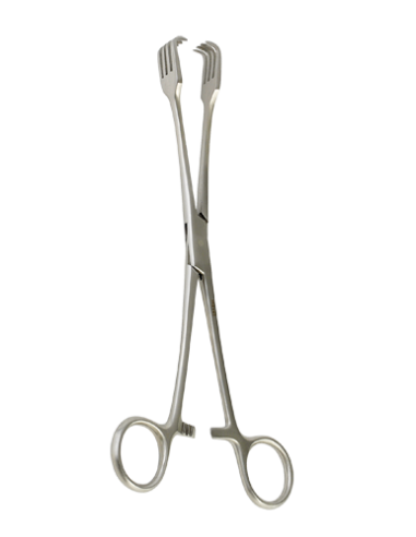 PINZA DE CZERNY CON PUNTAS AGUDAS - 20.5 cm