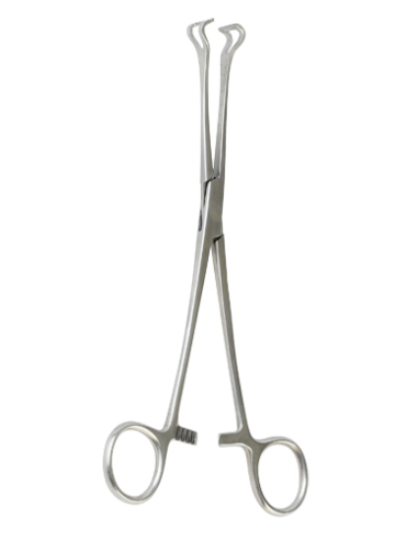 PINZA DE BABCOCK - 22 cm