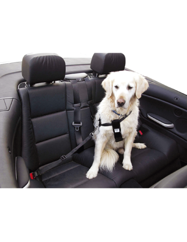 CINTURÓN DE SEGURIDAD PARA PERROS - (3 MEDIDAS)