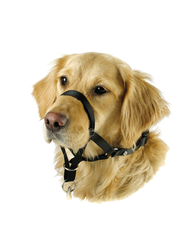BOZAL MAXI COACH PARA PERROS- (4 MEDIDAS)