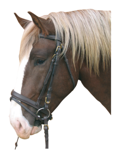 CABEZADA INGLESA  PARA CABALLO DE CUERO.