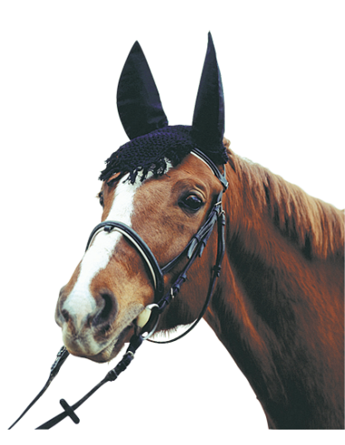 PROTECTOR CONTRA MOSCAS. OREJAS DE CABALLOS .