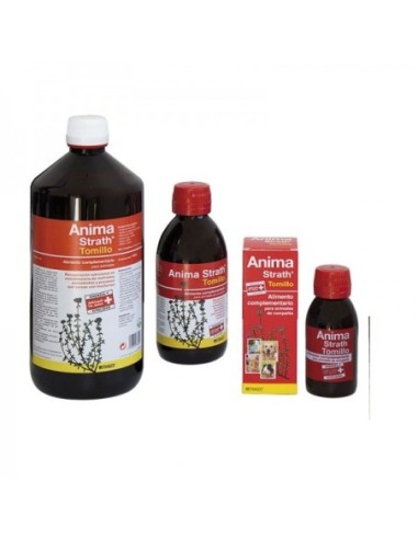 ANIMA STRATH - (3 MEDIDAS)