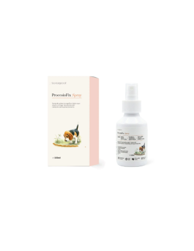 PROCESIOFIX SPRAY 100ML.