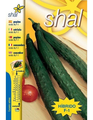 PEPINO HÍBRIDO F-1 VIRIDIS