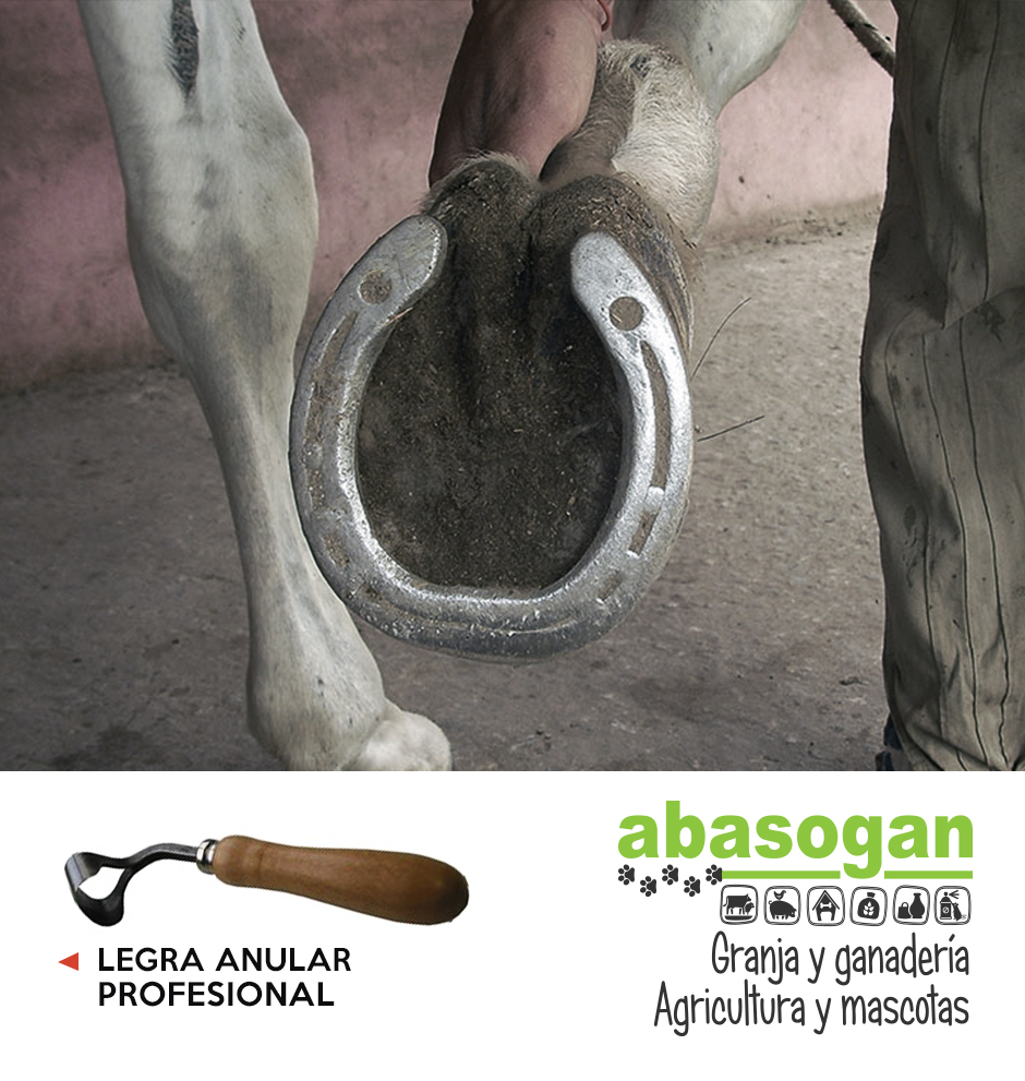 El cuidado de los cascos empieza por la legra