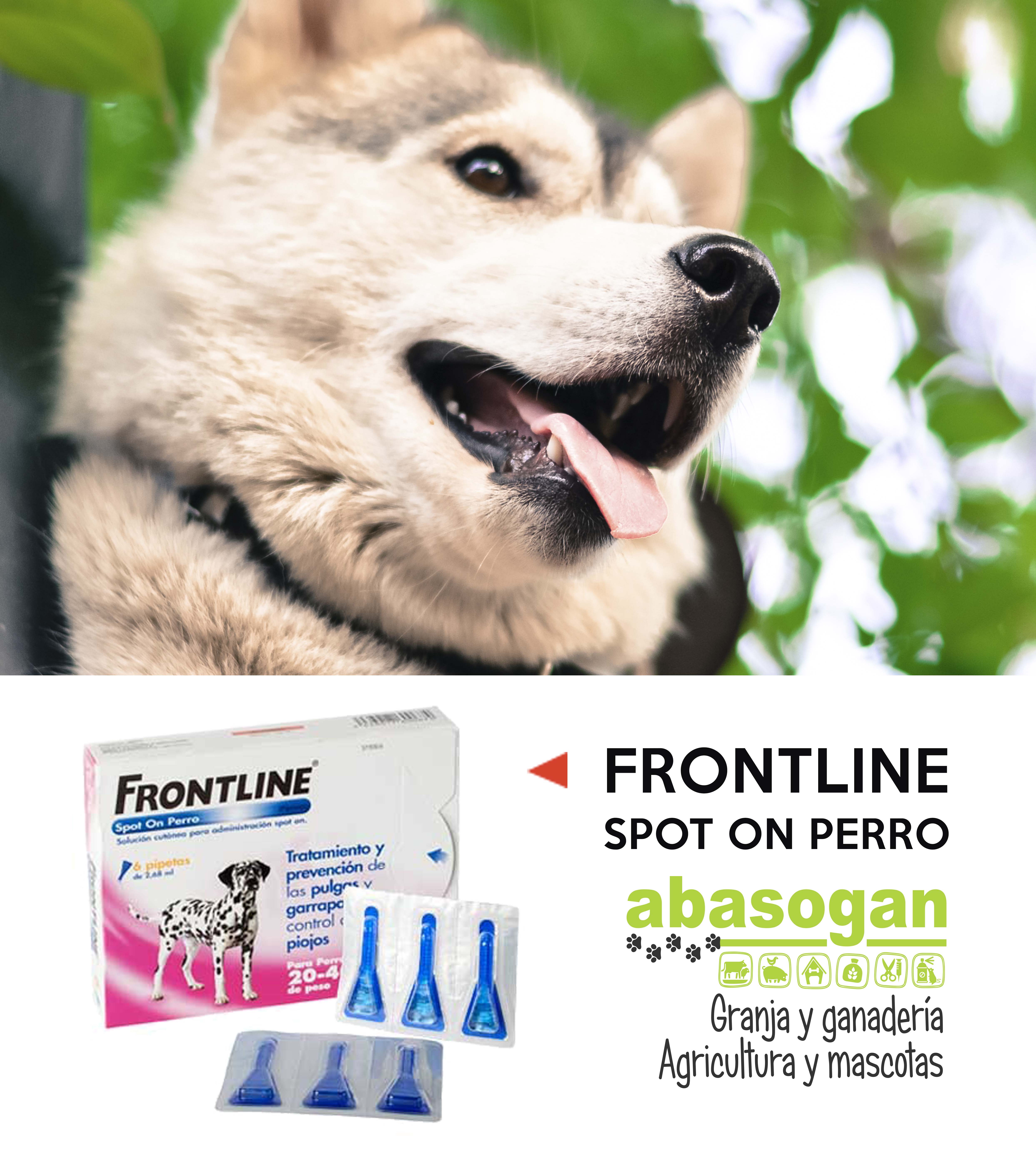 La protección frente a pulgas y garrapatas de FRONTLINE® SPOT ON PERRO