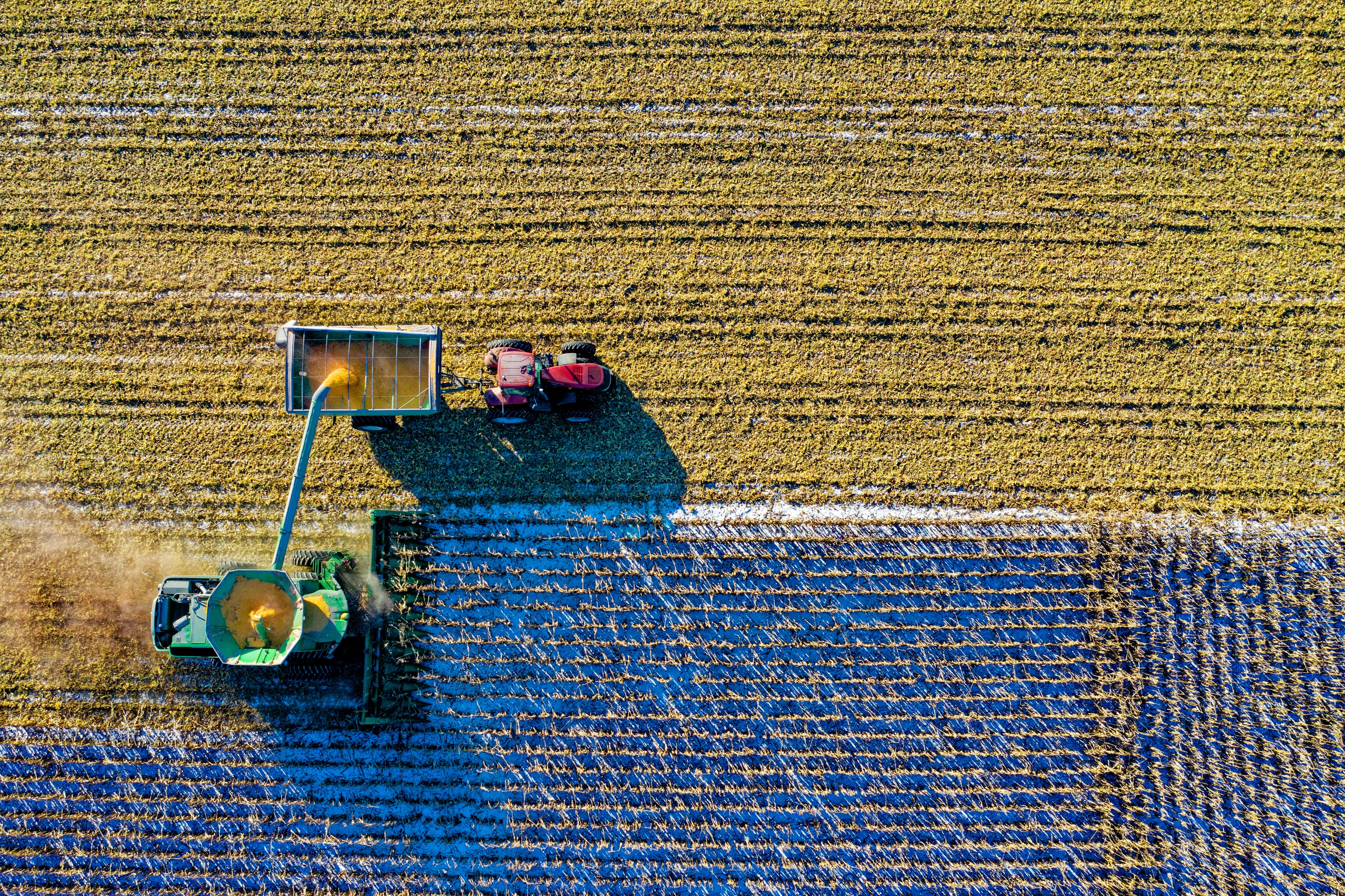 Ganaderos y agricultores frente al COVID-19