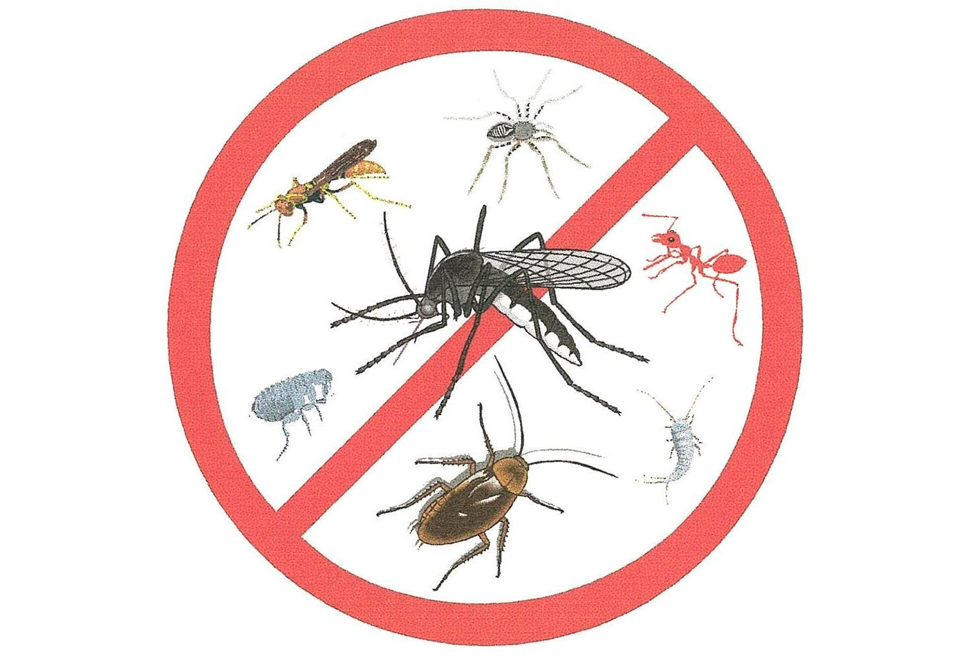 INSECTICIDA DOMÉSTICO STOCKADE